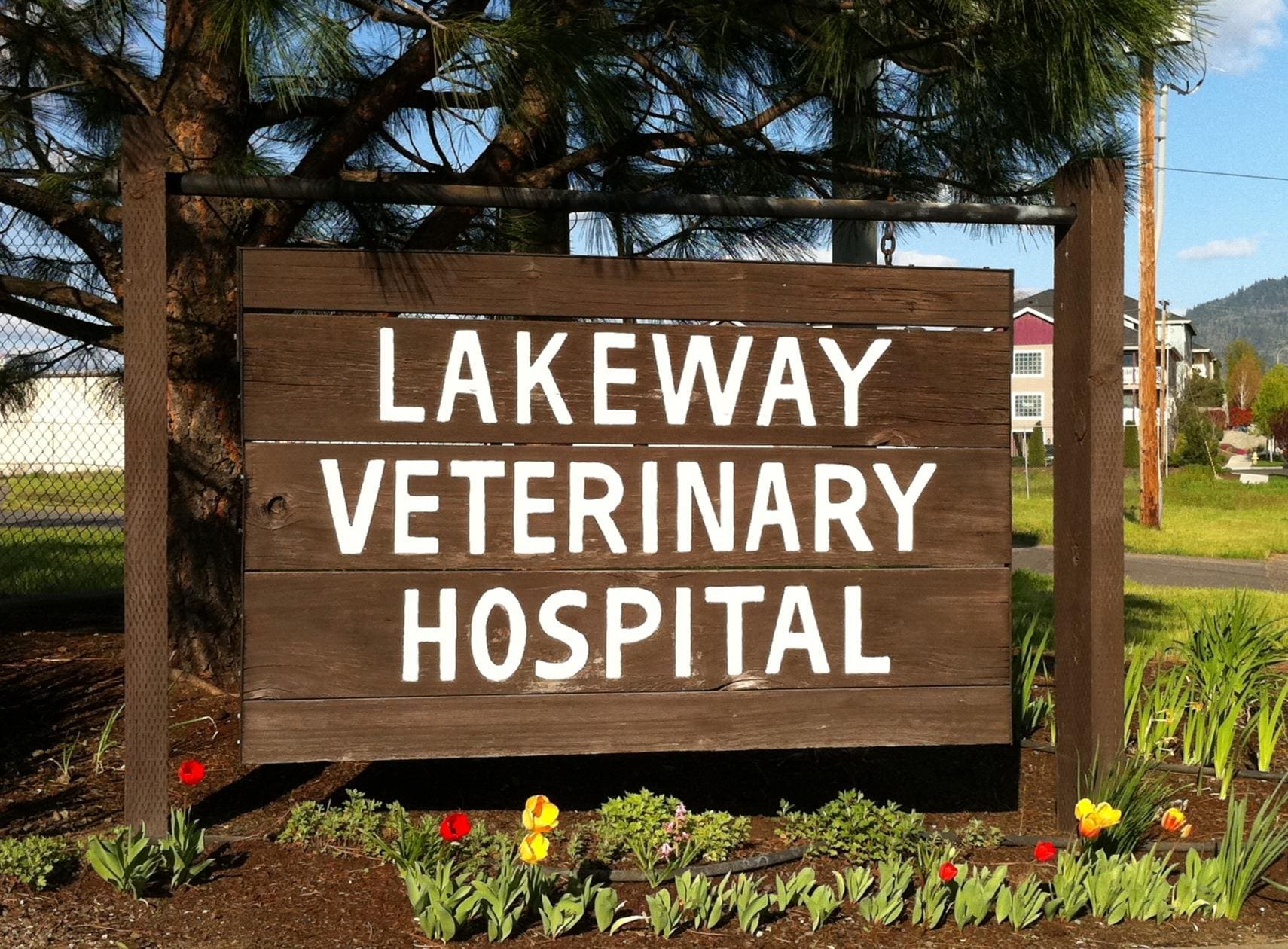 Exterior signage for Lakeway Veterinary Hospital